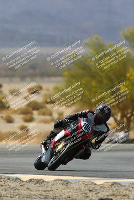 media/Apr-10-2022-SoCal Trackdays (Sun) [[f104b12566]]/Turn 5 Tree of Life (1040am)/